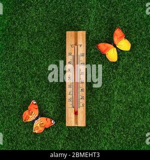 Thermometer Anzeigen hohe Temperaturen von 40 Grad in der Sonne Sommer Tag. Temperatur 40. Sommer Temperatur. Thermometer auf dem Gras mit butterflie Stockfoto