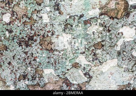 Abstrakte bunte Zement Wand Textur. Grunge Hintergrund. Alte Wand Hintergrund für Design. Stockfoto