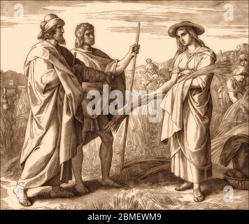 Ruth in Boaz's Field, Old Testament, von Julius Schnorr von Carolsfeld Stockfoto