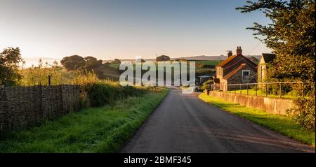 Die Sonne geht über Dorset's Blackmore Vale Landwirtschafts-Viertel auf, wo eine schmale Landstraße an einem Bauernhaus und einer sanften Landschaft von Weidefiel vorbeiführt Stockfoto