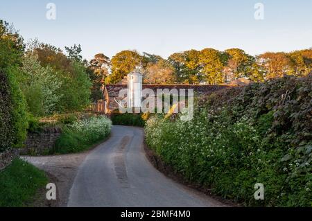 Henstridge, England, UK - 16. Mai 2013: Abendsonne scheint auf einem Getreidesilo und einer traditionellen Steinscheune neben einer schmalen, gewundenen Landstraße in Henstrid Stockfoto