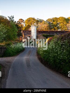 Henstridge, England, UK - 16. Mai 2013: Abendsonne scheint auf einem Getreidesilo und einer traditionellen Steinscheune neben einer schmalen, gewundenen Landstraße in Henstrid Stockfoto