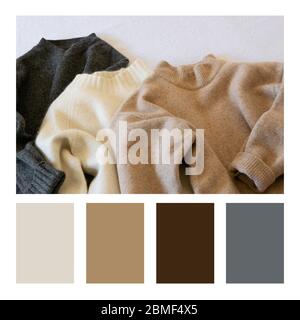 Crop-Ansicht von lässigen Winter Frauen Sweaterin einer Farbpalette, mit kostenlosen Farbfeldern Stockfoto