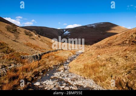 Ein kleiner felsiger Bach stürzt das steile Tal von Carlin Gill in die rollenden Howgill Fells des Yorkshire Dales National Park hinab. Stockfoto