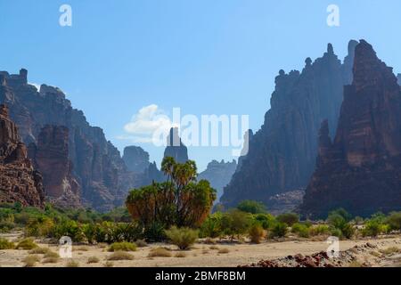 Wadi Disah. Tabuk Region, Saudi-Arabien. Stockfoto