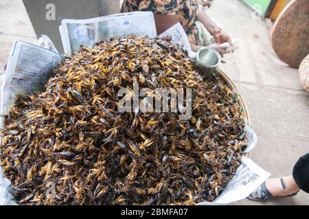 Myanmar Reise und Menschen Bilder von einem großen Container von tiefgebackenen Heuschrecken zum Verkauf in Yangon City Street. Stockfoto