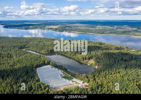 Luftaufnahme von Gewächshäusern am See im Wald Stockfoto
