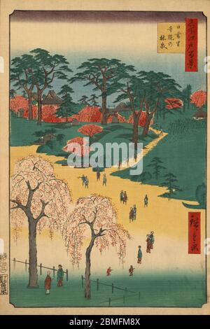 [ 1850er Japan - Kirschen- und Azalenblüten ] - Kirschen- und Azalenblüten in den Tempelgärten in Nippori, Edo (heute Tokio), 1857 (Ansei 4). In Wirklichkeit blühen Kirschen und Azaleen zu verschiedenen Zeiten des Jahres. Dieser Holzschnitt ist Bild 14 in hundert berühmten Ansichten von Edo (名所江戸百景, Meisho Edo Hyakkei), einer Serie von Ukiyoe Künstler Utagawa Hiroshige (歌川広重, 1797–1858) erstellt. Es ist eine von 42 Frühlingsszenen der Serie. Titel: Tempelgärten in Nippori (日暮里寺院の林泉, Nippori jiin no rinsen) Vintage Ukiyoe Holzschnitt aus dem 19. Jahrhundert. Stockfoto