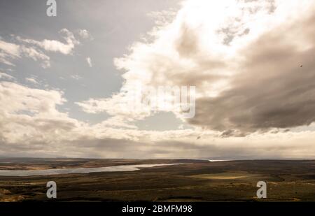 Ein einziger Condor schwebt am Himmel über der Steppe Patagoniens und der Magallanes-Provinz Chile Stockfoto