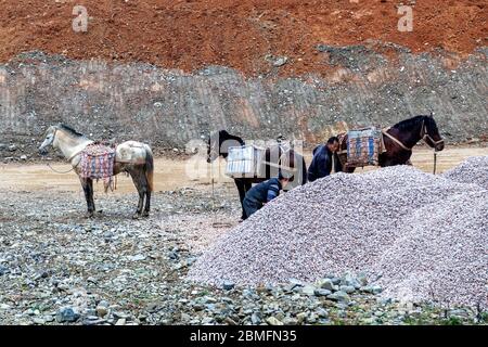 Arbeiter, die Kies vom Flussbett transportieren, mit Pferden, um die schweren Lasten zu tragen. Die Männer gehören zum Longde Rock Miao minorit Stockfoto