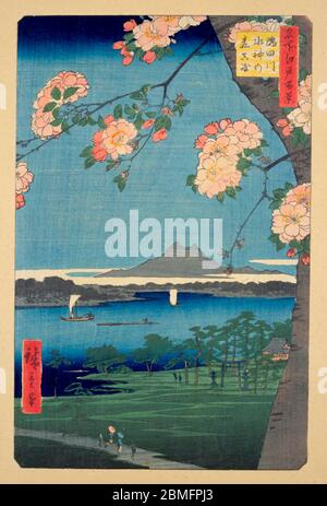[ 1850er Japan - Kirschblüte und Boote ] - Kirschblüten und Segelschiffe auf dem Sumidagawa Fluss in Edo (aktuelle Tokyo), 1856 (Ansei 3). Im Hintergrund ist der Berg Tsukuba zu sehen. Dieser Holzschnitt ist Bild 35 in hundert berühmten Ansichten von Edo (名所江戸百景, Meisho Edo Hyakkei), einer Serie von Ukiyoe Künstler Utagawa Hiroshige (歌川広重, 1797–1858) erstellt. Es ist eine von 42 Frühlingsszenen der Serie. Titel: Suijin Shrine und Massaki am Sumida Fluss (隅田川水神の森真崎, Sumidagawa Suijin no mori Massaki) 19th century vintage Ukiyoe woodblock Print. Stockfoto