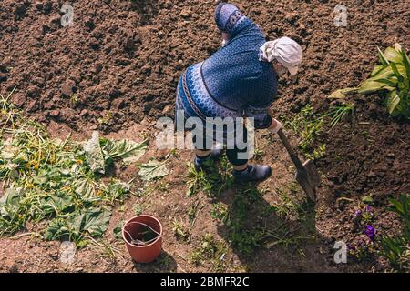 Eine Frau im Garten auf dem Feld bereitet sich auf die Aussaat vor und gräbt einen Garten Stockfoto