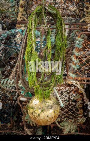 Fishermans Nets, St Andrews, Fife, Schottland Stockfoto