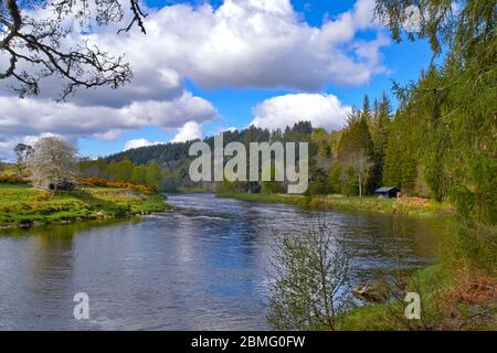 SPEYSIDE MORAY SCHOTTLAND FRÜHLING AUF DEM FLUSS SPEY BEI WESTER ELCHIES UND EINE FISCHERHÜTTE Stockfoto