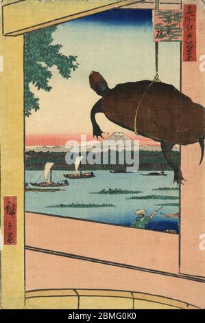 [ 1850er Japan - Sumidagawa River ] - EINE Schildkröte mit Blick auf Boote auf dem Sumidagawa River in Edo (aktuelle Tokyo), 1857 (Ansei 4). Im Hintergrund ist der Fuji zu sehen. Dieser Holzschnitt ist Bild 56 in hundert berühmten Ansichten von Edo (名所江戸百景, Meisho Edo Hyakkei), einer Serie von Ukiyoe Künstler Utagawa Hiroshige (歌川広重, 1797–1858) erstellt. Es ist eine von 30 Sommerszenen der Serie. Titel: Mannenbrücke in Fukagawa (深川萬年橋, Fukagawa Mannenbashi) Vintage Ukiyoe Holzschnitt aus dem 19. Jahrhundert. Stockfoto