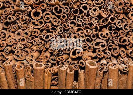 Ein Bündel Zimtstangen zum Verkauf auf der Theke Top auf dem Weihnachtsmarkt. Gesunde aromatische Gewürz in der Küche und Medizin, Aromatherapie verwendet Stockfoto