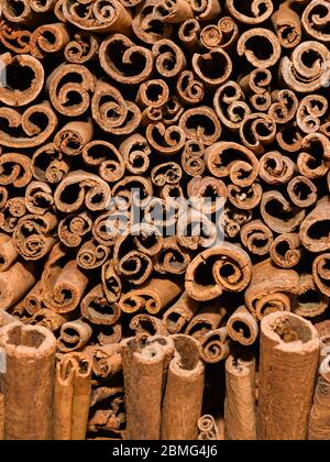 Ein Bündel Zimtstangen zum Verkauf auf der Theke Top auf dem Weihnachtsmarkt. Gesunde aromatische Gewürz in der Küche und Medizin, Aromatherapie verwendet Stockfoto