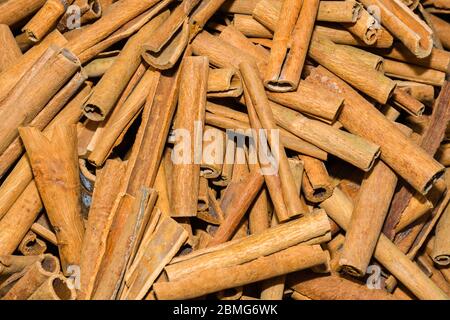Ein Bündel Zimtstangen zum Verkauf auf der Theke Top auf dem Weihnachtsmarkt. Gesunde aromatische Gewürz in der Küche und Medizin, Aromatherapie verwendet Stockfoto