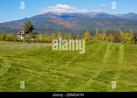 Lebendige Herbst Panorama Hintergrund mit bunten grünen und gelben Bäumen, Golf Gras Feld und Fahnen Stockfoto