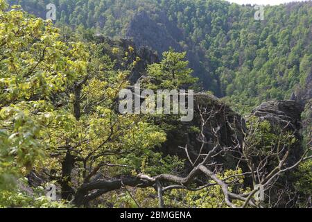 Thale, Deutschland. Mai 2020. Blick von der Roßtrappe über den Bodetal. Die Roßtrappe, ein 403 Meter hoher Granitfelsen, ist für viele Wanderer ein beliebtes Ausflugsziel im Harz. Quelle: Matthias Bein/dpa-Zentralbild/ZB/dpa/Alamy Live News Stockfoto