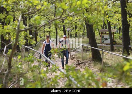 Thale, Deutschland. Mai 2020. Besucher des Harzes wandern an einem sonnigen Frühlingstag hoch über dem Bodetal zum Aussichtspunkt Roßtrappe. Die Roßtrappe, ein 403 Meter hoher Granitfelsen, ist für viele Wanderer ein beliebtes Ausflugsziel im Harz. Quelle: Matthias Bein/dpa-Zentralbild/ZB/dpa/Alamy Live News Stockfoto