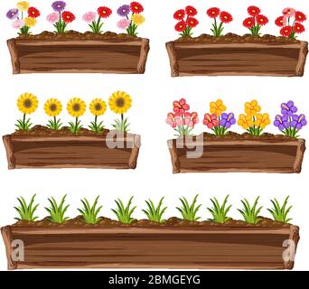 Bunte Blumen in Holztopf auf weißem Hintergrund Illustration Stock Vektor