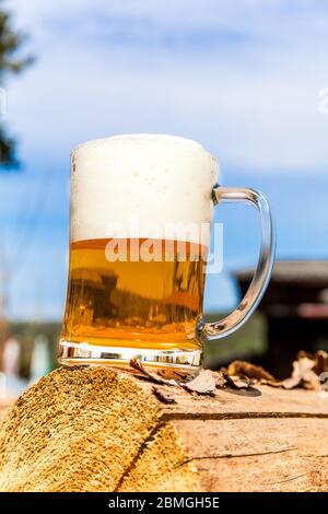 Becher mit Bier auf einem Haufen Baumstämme in der Nähe des Waldes. Bier im Glas. Kalte Erfrischung auf dem Land. Stockfoto