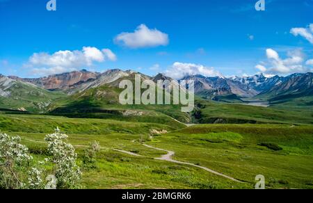 Der Weg führt zur Denali Moutain Range Stockfoto