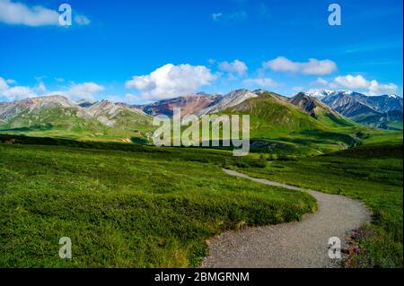 Sunny Mountain Range in Denali Stockfoto