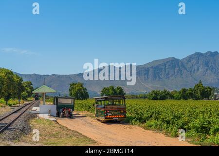 FRANSCHHOEK WESTERN CAPE SOUTH AFRICA - FEBRUAR 02. 2020: - Rikety Bridge Winery Bahnhof für Touristen Tram Fahrt zwischen Weinbergen in der Fra Stockfoto