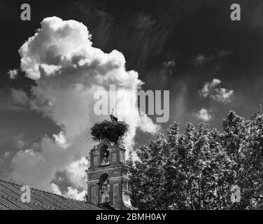 Cumulonimbus Wolken über Störchen nisten auf alten Dächern in Extremadura. Spanien Stockfoto