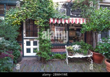 Der pflanzenüberdachte Eingang zu einem kleinen versteckten und gemütlichen Laden. Weiße Tür- und Fensterrahmen. Eine Markise schützt das Fenster. Vor dem Fenster Stockfoto