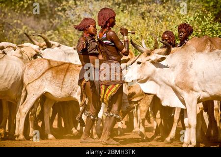 Hamer Frauen blasen ihre Hörner, um die Stiere für die Hamer Initiation Zeremonie namens Bull Jumping runden. Stockfoto