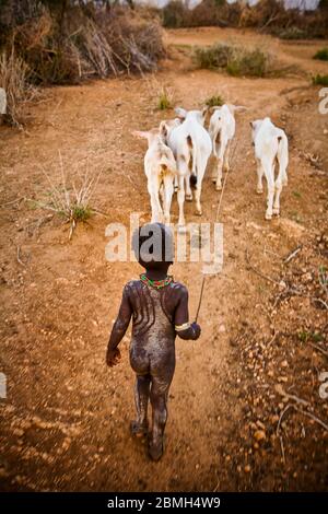 Der vier Jahre alte Zubo praktiziert zänkende Rinder. Abends fährt er sie von der Farm in das Dorf zurück. Stockfoto