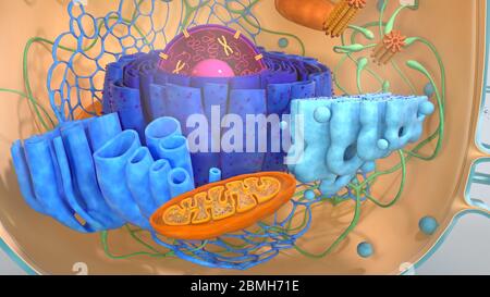 3d-Rendern. modell mit 3d-Illustration. Stockfoto