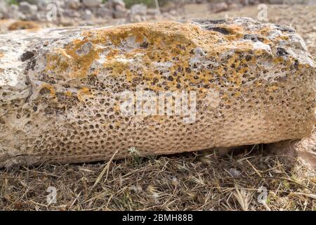 Dekorativer Stein in den Ruinen des Skorba-Tempels, Triq Sant' Anna, Mgarr, Malta Stockfoto