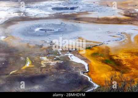 Hot Pool auf der Artist's Palette, Orakei Korako Thermal Park, Taupo Volcanic Zone, Neuseeland. Stockfoto