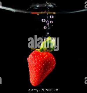 Eine frische rote Erdbeere wird mit Wasserblasen und einem Wasserspritzer ins Wasser geworfen Stockfoto