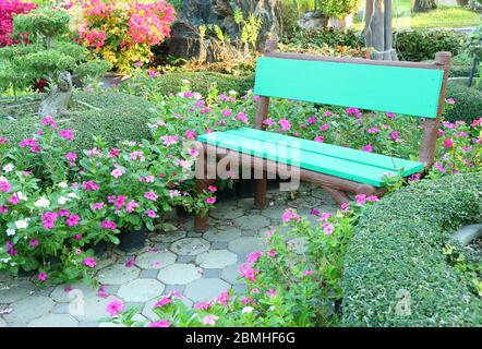 Leere hellgrüne Holzbank zwischen leuchtend rosa blühenden Sträuchern Stockfoto
