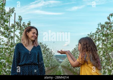 Kleine lockige Mädchen weht Löwenzahn auf ihre schöne Mutter in grünem Kleid Stockfoto