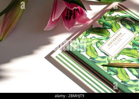 Geschäftskonzept. Foto von oben des Arbeitsplatzes geöffnetes grünes Monstera Notizblock Lilie Blume Gold Stift auf isoliertem weißen Hintergrund mit Schatten Sonne Stockfoto