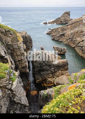 Küste in der Nähe von Natursteinbogen L'Arche de Port-Blanc in Saint-Pierre-Quiberon (Frankreich), sonniger ruhiger Tag im Sommer Stockfoto