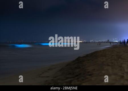 Menschenmenge, die die aus glühendem Plankton erzeugten biolumineszierenden Wellen im pazifischen Ozean, Venice Beach, Los Angeles, Kalifornien, USA, beobachten Stockfoto