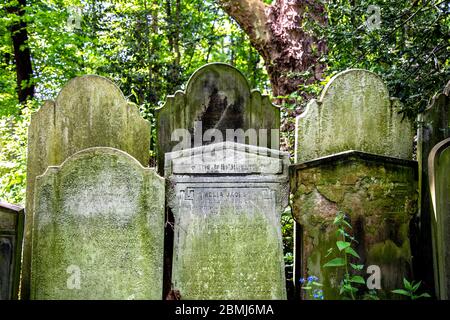 Alte schimmelige Flechten bedeckten Grabsteine im Victorian Tower Hamlets Cemetery Park, London, Großbritannien Stockfoto