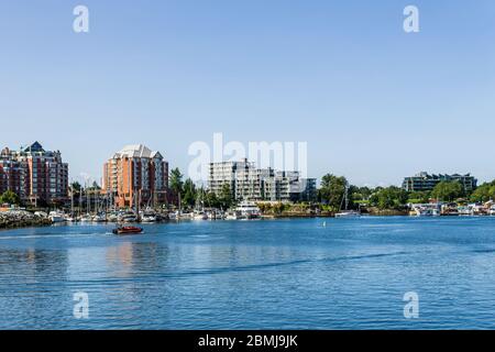 VICTORIA, KANADA - 14. JULI 2019: Geschäftiger Hafen in der Innenstadt mit Yachten und modernen Gebäuden. Stockfoto