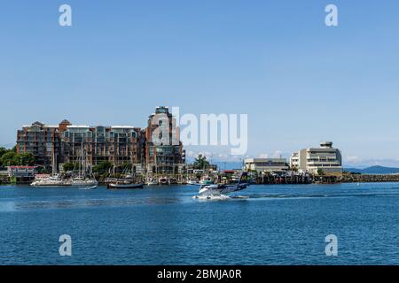 VICTORIA, KANADA - 14. JULI 2019: Geschäftige Hafen in der Innenstadt mit Yachten und Wasserflugzeug. Stockfoto