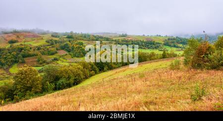 Wald auf Berg im Nebel bei Sonnenaufgang. Herbstlandschaft mit ländlichen Feldern an einem bewölkten Wettertag. Geheimnisvoller Naturhintergrund Stockfoto