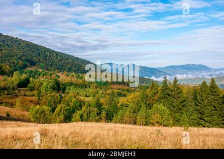 Berglandschaft am frühen Herbstmorgen. Offene Sicht mit Wald auf der Wiese vor einem fernen Tal voller Nebel. Atemberaubende Naturlandschaft. se Stockfoto