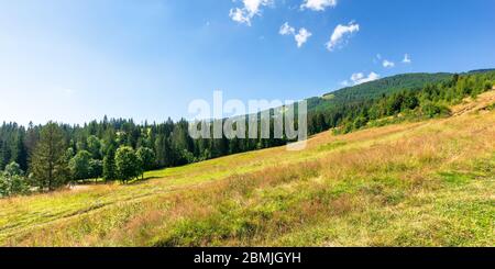 Graswiesen von Bergkulisse im Sommer. Idyllische Berglandschaft an einem sonnigen Tag. Buche und Fichte Wälder rund um Stockfoto