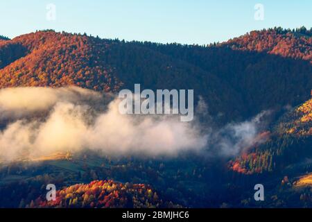 Herbstuntergang in den Bergen. Baumspitze zwischen dem Nebel, der durch Hügel rollt. Geheimnisvolle Naturlandschaft Stockfoto